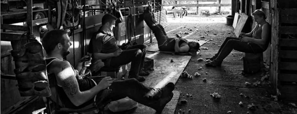 Sheep shearers resting and taking a break from shearing in the barn at Neadon Farm, North Bovey, Dartmoor, Devon.